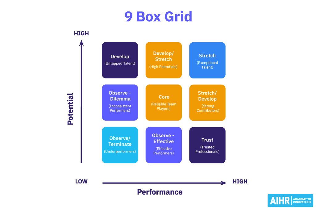 9 box grid